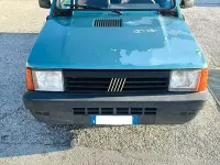 Usata Fiat Panda 54 CV (39 kW) 2002 Verde Utilitaria