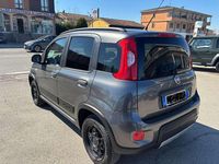 Usata Fiat Panda 4x4 95 CV (69 kW) 2017 Grigio Utilitaria