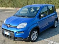 Usata Fiat Panda S 69 CV (50 kW) 2024 Blu Utilitaria