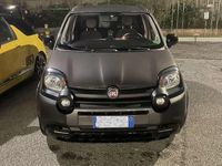 Usata Fiat Panda Cross Cross 69 CV (50 kW) 2019 Utilitaria