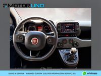 Usado Fiat Panda Cross Cross 71 CV (52 kW) 2023 Negro Utilitario