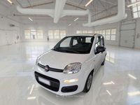 Usata Fiat Panda Sport 69 CV (50 kW) 2021 Bianco pastello Utilitaria