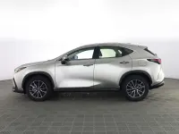 Usata Lexus NX350h Business Edition 190 CV (139 kW) 2026 Sonic titanium SUV