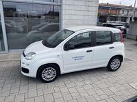 Usata Fiat Panda Easy 69 CV (50 kW) 2021 Other Utilitaria