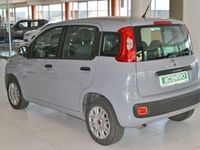 usata Fiat Panda 1.2 - serie 3 1.2 69cv s&s easy euro 6d-temp