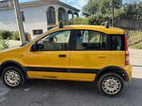Usata Fiat Panda 4x4 60 CV (44 kW) 2011 Utilitaria