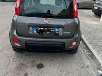 Usata Fiat Panda Red 69 CV (50 kW) 2022 Utilitaria