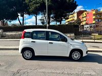 Usata Fiat Panda Easy 69 CV (50 kW) 2020 Bianco Utilitaria