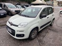 Usata Fiat Panda Easy 69 CV (50 kW) 2016 Bianco Utilitaria