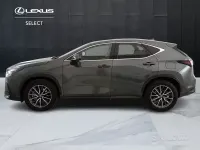 Usata Lexus NX450h+ 185 CV (136 kW) 2023 SUV