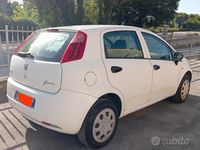 Usata Fiat Punto 80 CV (58 kW) 2009 Utilitaria