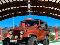 Usata Jeep CJ 1981 Marrone SUV