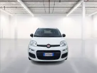 Usata Fiat Panda S 70 CV (51 kW) 2021 Colore bianco Utilitaria