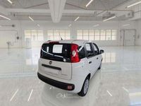 Usata Fiat Panda Sport 69 CV (50 kW) 2021 Bianco pastello Utilitaria