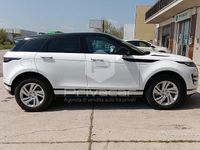 Occasion Land Rover Range Rover evoque R-Dynamic 150 PK (110 kW) 2019 Wit SUV