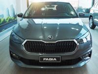 usata Skoda Fabia 1.0 MPI EVO 80 CV Selection nuova a Torino