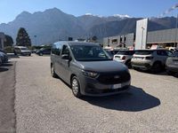 Usata Ford Tourneo 102 CV (75 kW) 2025 Grigio Monovolume