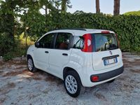 Usata Fiat Panda 85 CV (62 kW) 2015 Bianco Utilitaria