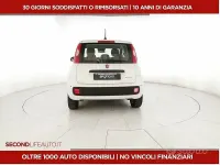 Usata Fiat Panda S 70 CV (51 kW) 2025 Grigio Utilitaria