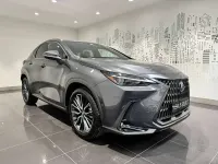 Usata Lexus NX450h+ Luxury Line 185 CV (136 kW) 2022 Sonic titanium SUV