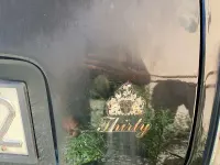 Usata Austin Mini 39 CV (28 kW) 1989 Nero Berlina