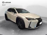 Usata Lexus UX 250h Executive Line 184 CV (135 kW) 2020 Bianco perla SUV