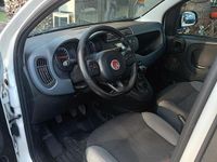 Usata Fiat Panda 69 CV (50 kW) 2019 Bianco Utilitaria