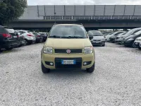 Usata Fiat Panda 4x4 69 CV (50 kW) 2006 Giallo Utilitaria