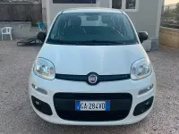 Usata Fiat Panda S 69 CV (50 kW) 2020 Bianco Utilitaria