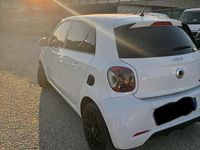 Usata Smart ForFour 2016 Bianco Utilitaria