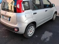 Usata Fiat Panda Easy 69 CV (50 kW) 2020 Grigio Utilitaria