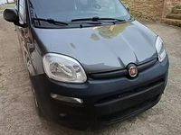 Usata Fiat Panda 95 CV (69 kW) 2017 Grigio Utilitaria