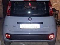 Usata Fiat Panda Easy 69 CV (50 kW) 2020 Grigio Utilitaria