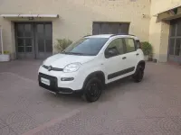 Usata Fiat Panda 4x4 S 86 CV (63 kW) 2020 Bianco Utilitaria