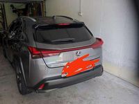 Usata Lexus UX 250h Executive Line 184 CV (135 kW) 2020 SUV