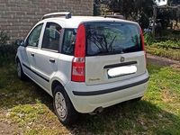 Usata Fiat Panda 60 CV (44 kW) 2008 Bianco Utilitaria