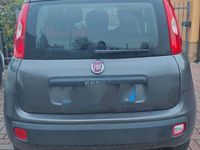Usata Fiat Panda Pop 69 CV (50 kW) 2019 Grigio Utilitaria