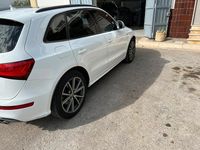 Usata Audi SQ5 340 CV (250 kW) 2015 SUV