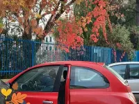 Usata Nissan Micra 78 CV (57 kW) 2010 Rosso Utilitaria