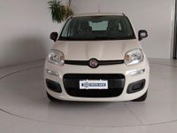 usata Fiat Panda 3ª serie 1.2 Easy