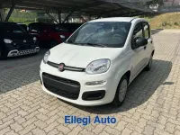 Nuova Fiat Panda Icon 69 CV (50 kW) 2026 Bianco Utilitaria