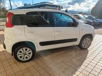 Usata Fiat Panda 4x4 Pop 80 CV (58 kW) 2016 Bianco Utilitaria