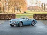Usata Austin Healey 100 105 CV (77 kW) 1955 Blu Cabrio