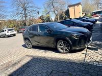 Usata Lexus UX 250h Executive Line 184 CV (135 kW) 2019 Verde SUV