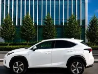 Usata Lexus NX300h E-FOUR Luxury Line 197 CV (144 kW) 2020 SUV