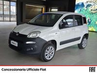 Usata Fiat Panda Pop 80 CV (58 kW) 2016 Other Furgone