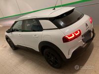 usata Citroën C4 Cactus - 2019