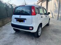 Usata Fiat Panda Easy 70 CV (51 kW) 2020 Bianco Utilitaria