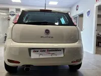 Usata Fiat Punto Lounge 75 CV (55 kW) 2015 Bianco Berlina