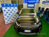 Usata Land Rover Range Rover evoque SE 150 CV (110 kW) 2019 Other SUV